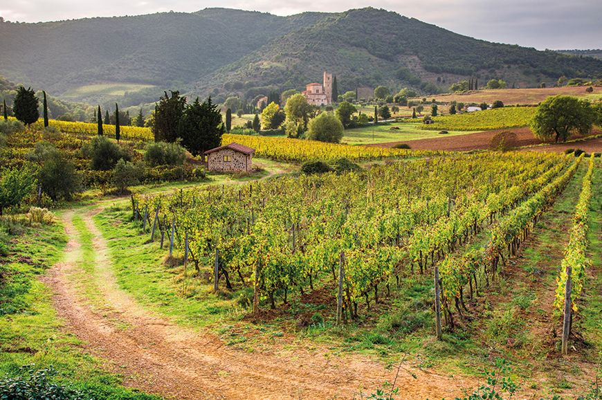 Italy - Medieval Montalcino and Siena