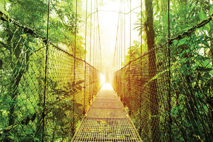The Hanging Bridges of Arenal