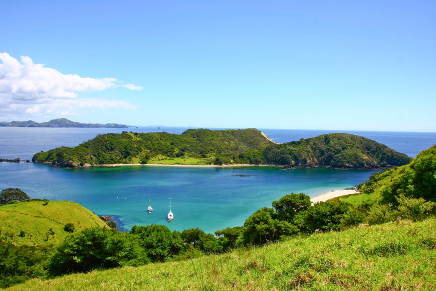 New Zealand - Paihia - Discover the Bay Cruise