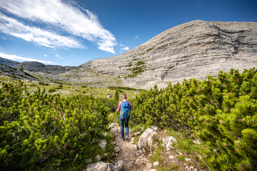 Wildkogel Hike and Keltendorf open-air museum