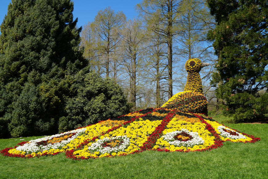 Rhine Falls and Mainau Flower Island including lunch