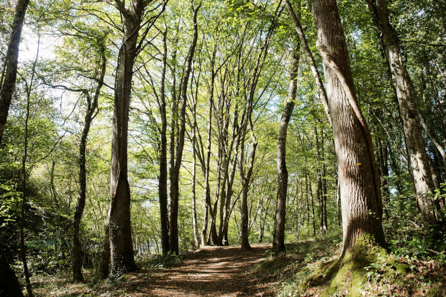 Samara Trails hike Biological Reserve