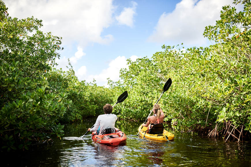 Mangrove Kayak