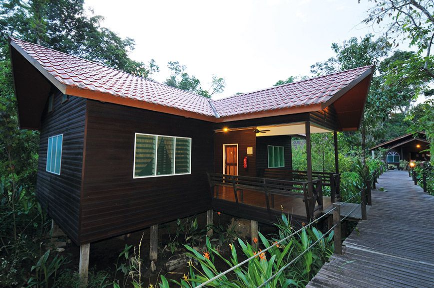 Abai Jungle Lodge