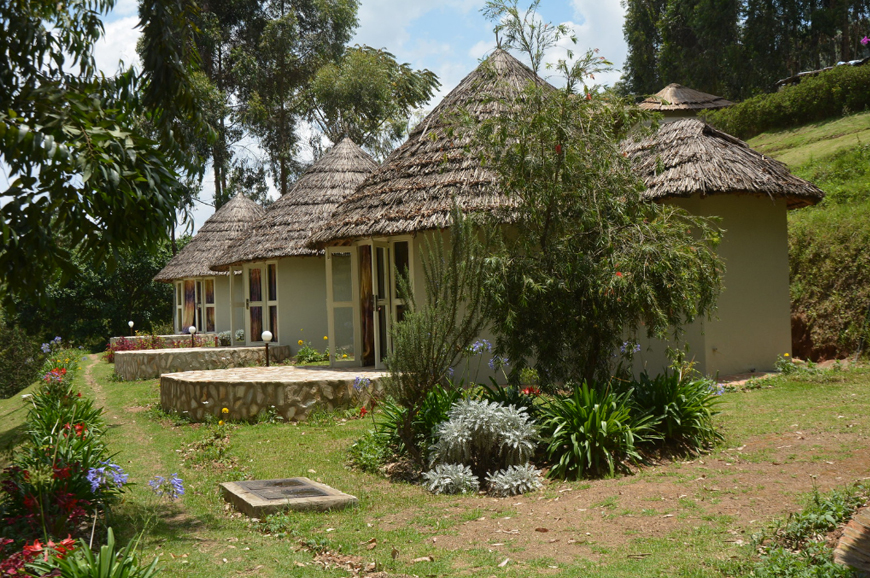 Bird Nest Resort - Image 2