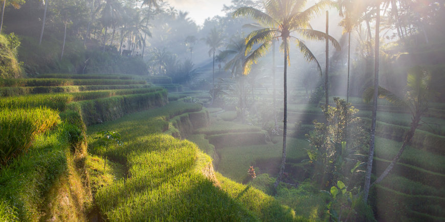: Bali
