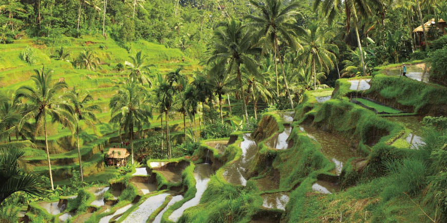 : Bandung - Yogyakarta