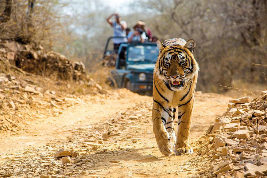 Kanha National Park