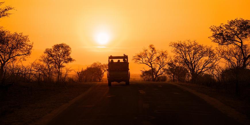 Game drive