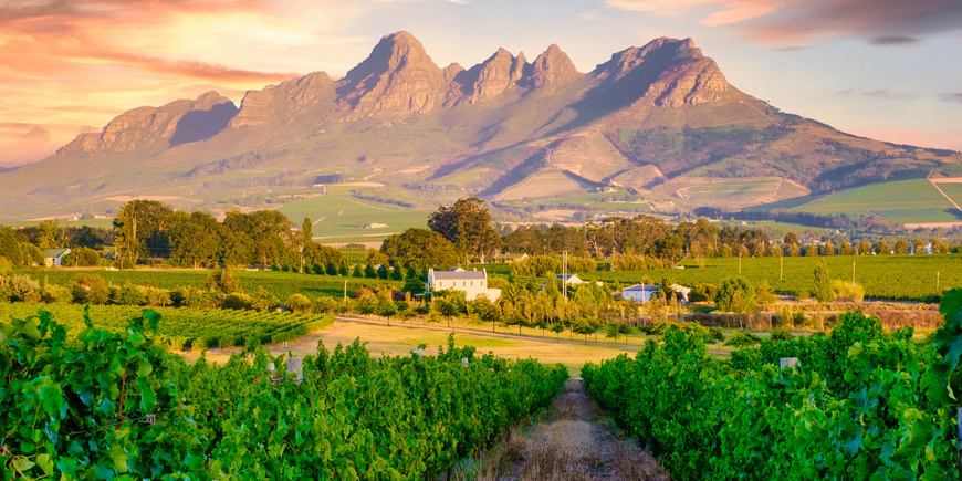 Stellenbosch
