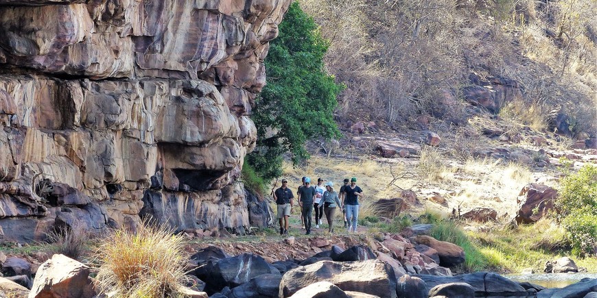 Bush walk