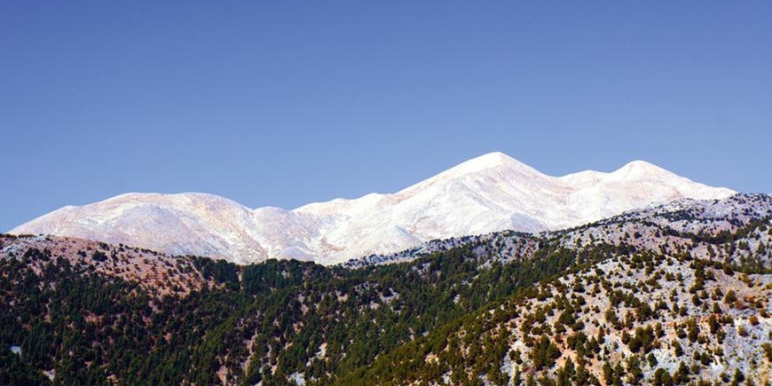 The White Mountains