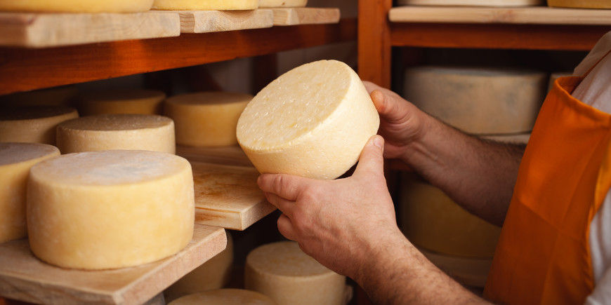 Bassano del Grappa and Perenzin Cheese tasting