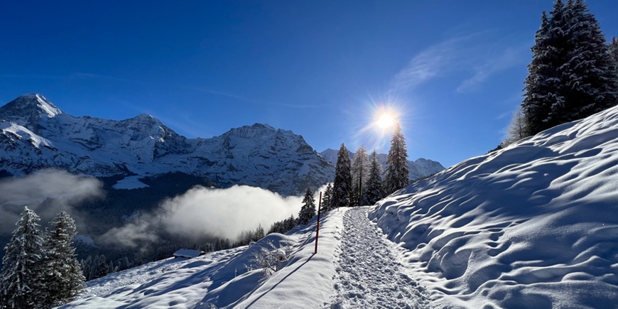 Zurich to UK