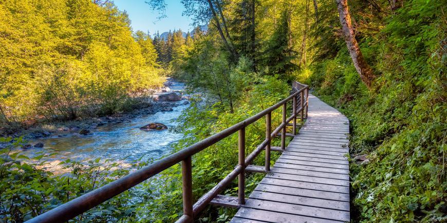 Lynn canyon