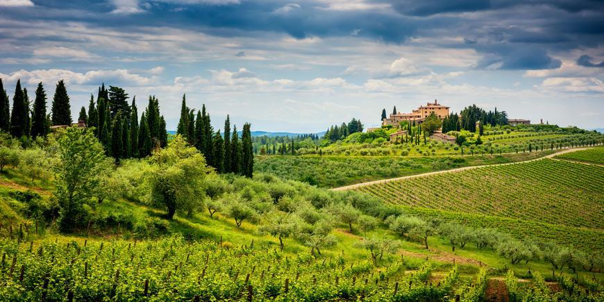 The Chianti Hills straddling the provinces of Florence, Siena and Arezzo