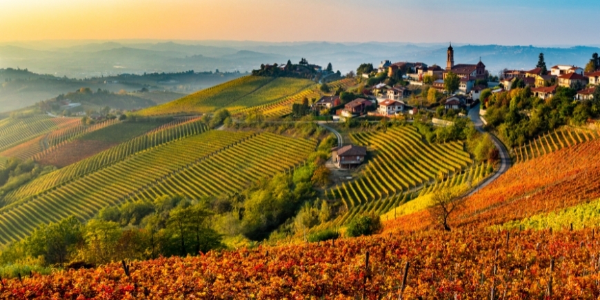 Chianti