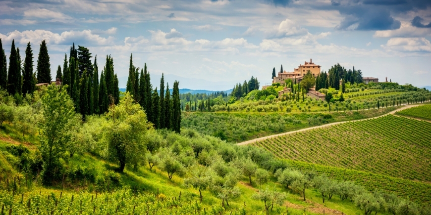 Chianti - Free Time
