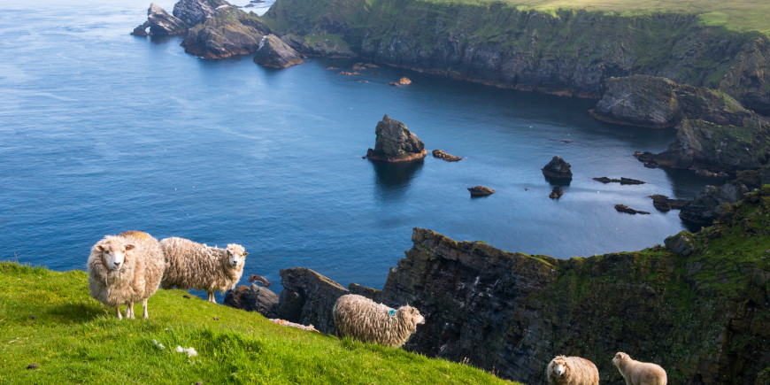 - 9 Shetland Islands