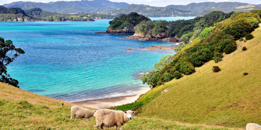 Paihia - at Leisure