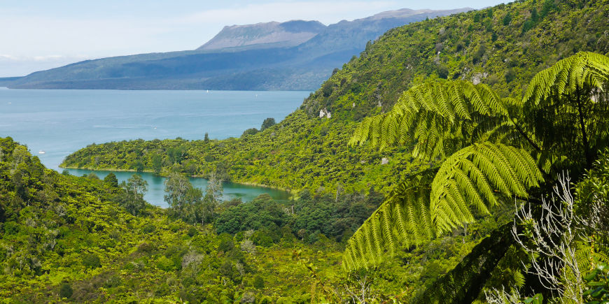 Paihia - Rotorua