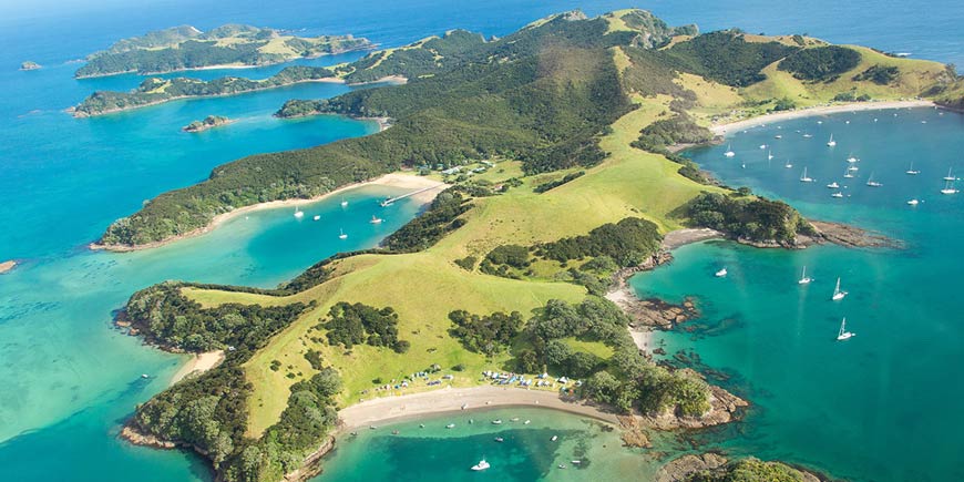 Auckland - Paihia