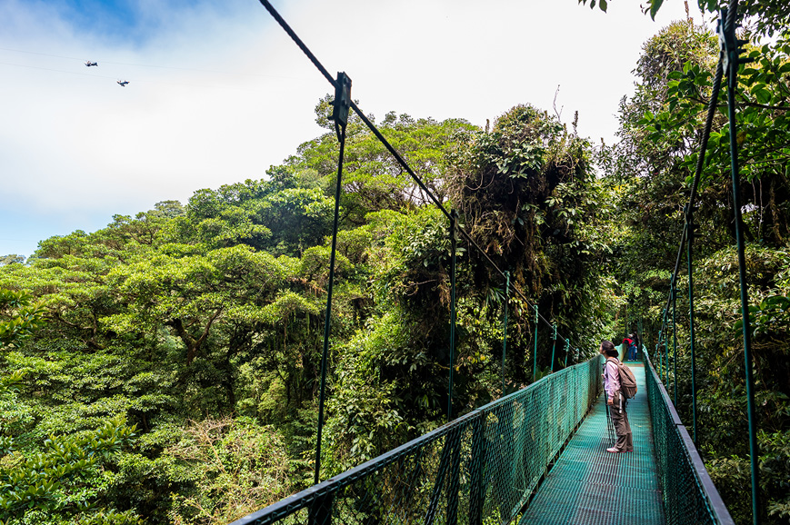 Monteverde - Manuel Antonio