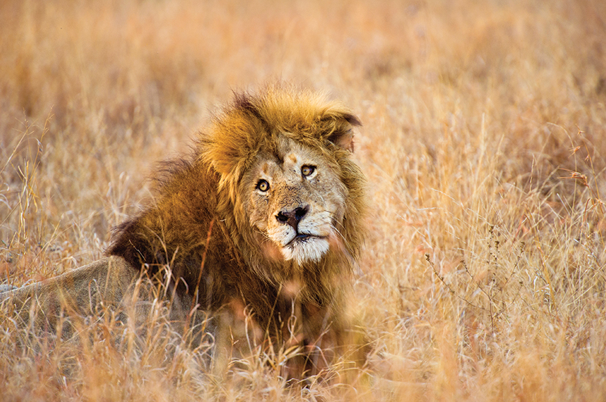 Kruger National Park