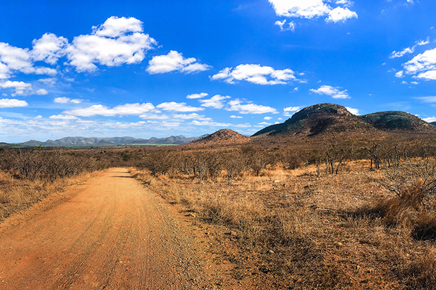 Kruger - Johannesburg