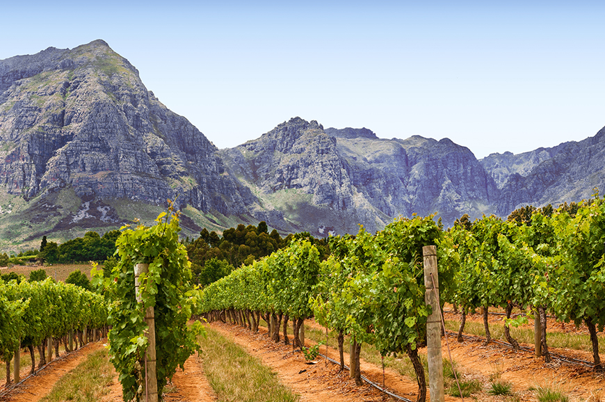 Cape Town - Western Cape Winelands