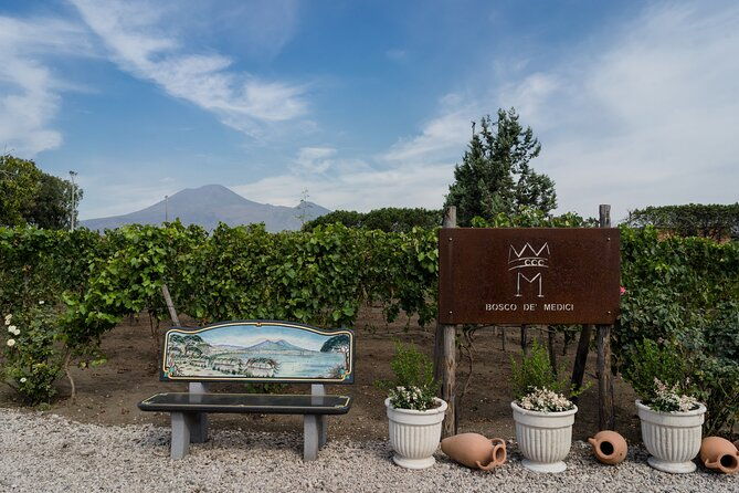 Bosco De' Medici Winery 