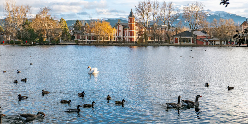 Puigcerda