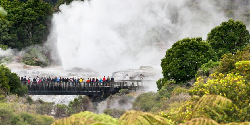 Auckland - Rotorua