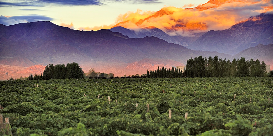 Mendoza