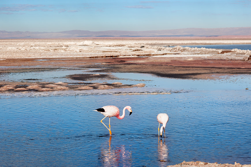 San Pedro de Atacama