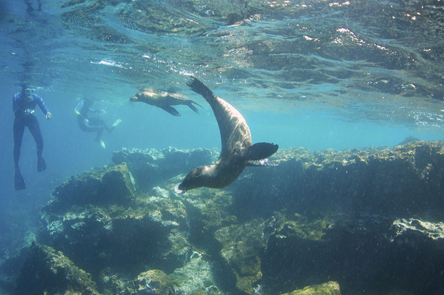 Santa Cruz Island - Isabela Island