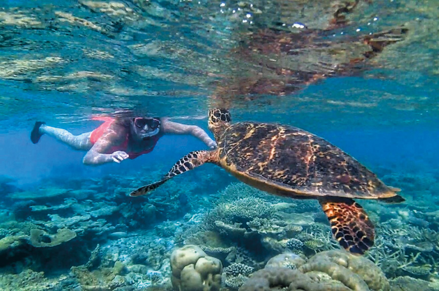 Santa Cruz Island - at Leisure