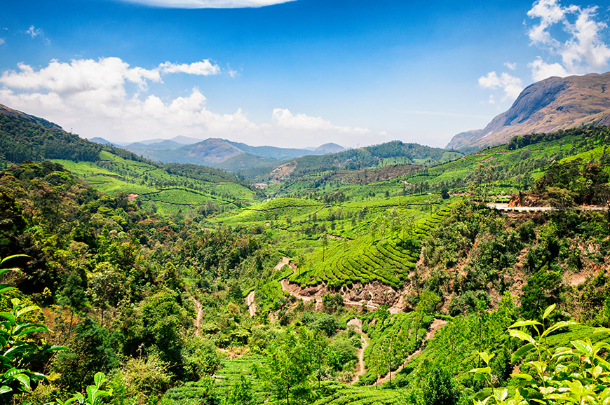 Cochin - Munnar