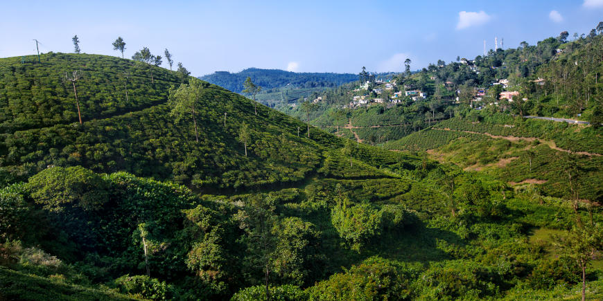 Madurai - Thekkady