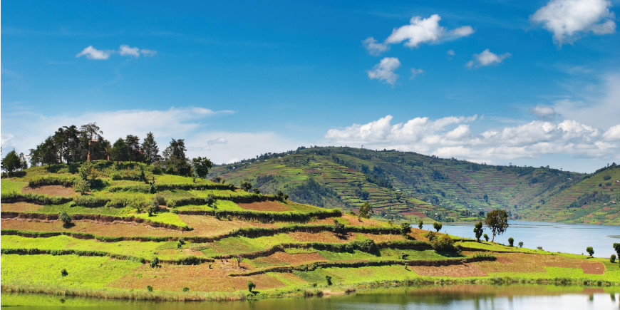 Gorilla Tracking- Lake Bunyonyi