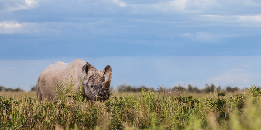 Etosha National Park