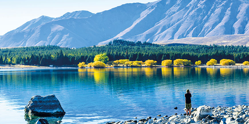 TranzAlpine Train