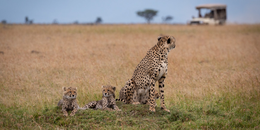 Greater Mabula Game Reserve