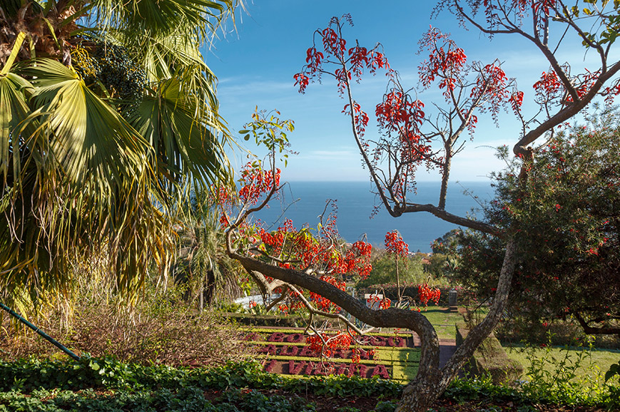 Funchal