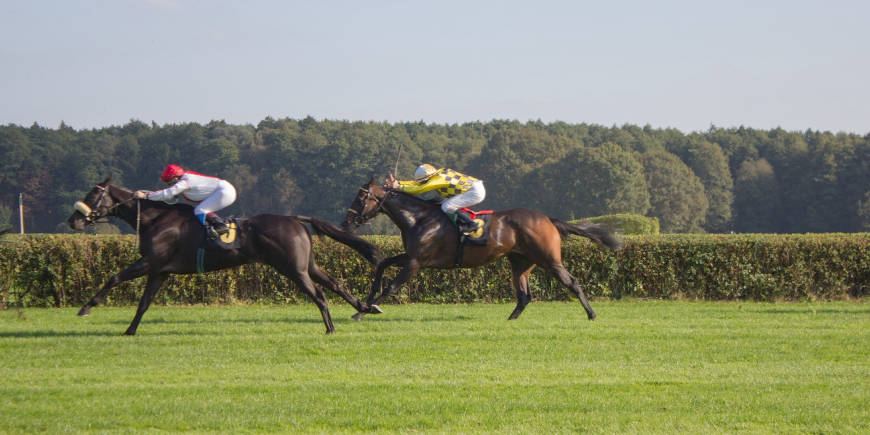 Boxing Day, Wetherby Races